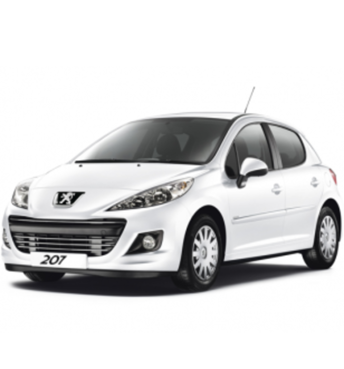  Precision Speed Limiter | Peugeot 207