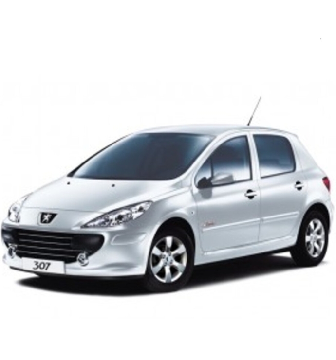  Precision Speed Limiter | Peugeot 307