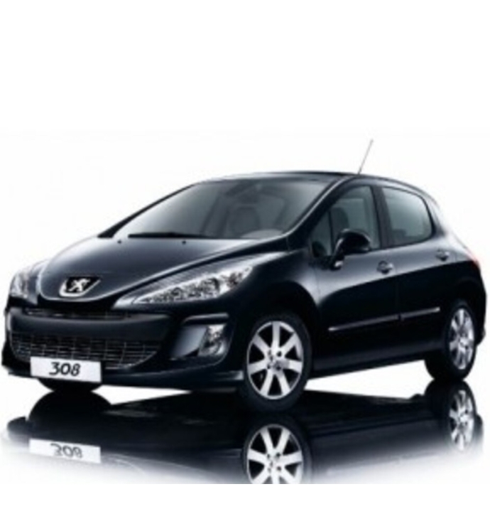  Precision Speed Limiter | Peugeot 308