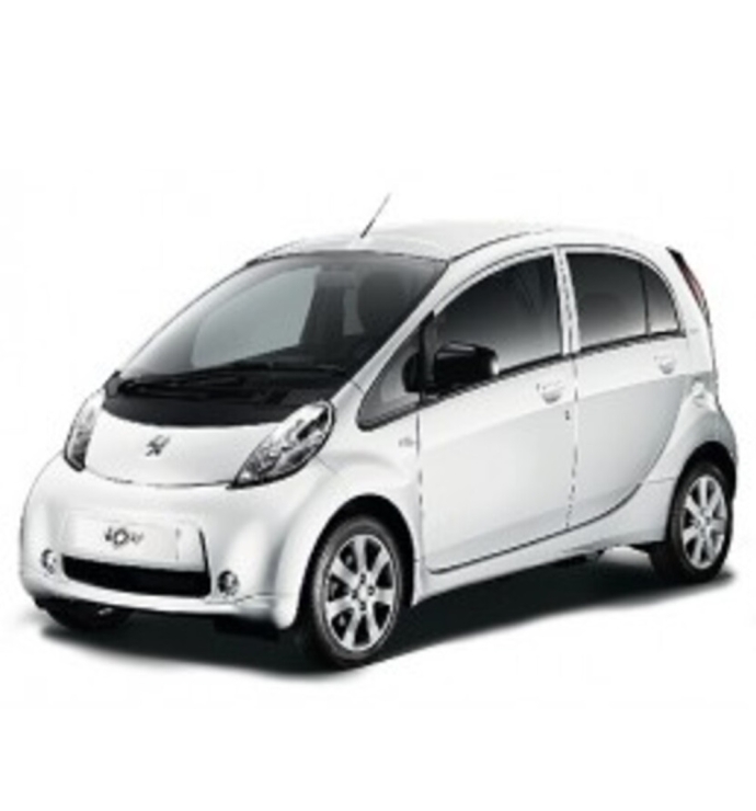  Precision Speed Limiter | Peugeot ION