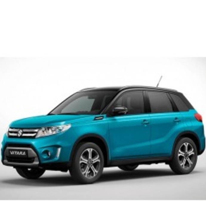 Precision Speed Limiter | Suzuki Vitara