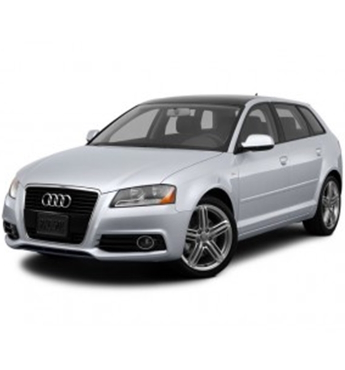 Precision Speed Limiter | Audi A3