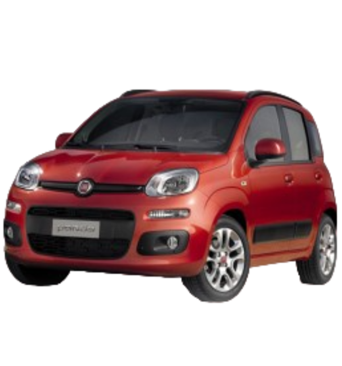 Precision Speed Limiter | Fiat Panda