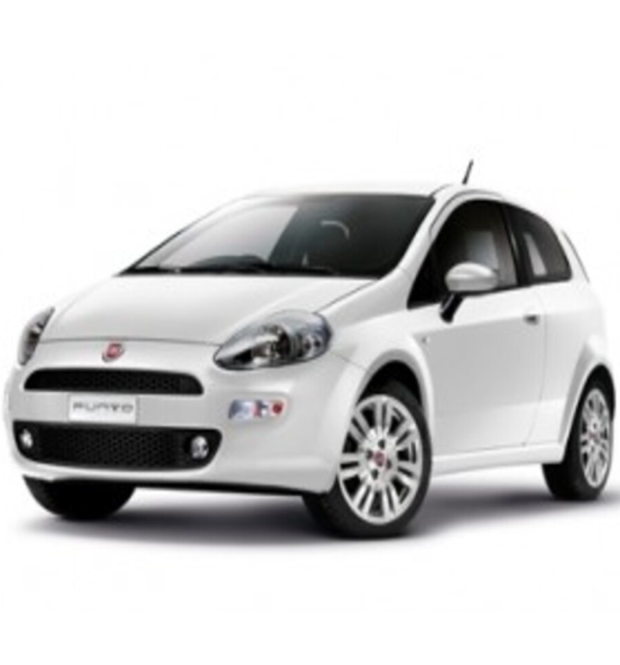 Precision Speed Limiter | Fiat Punto 