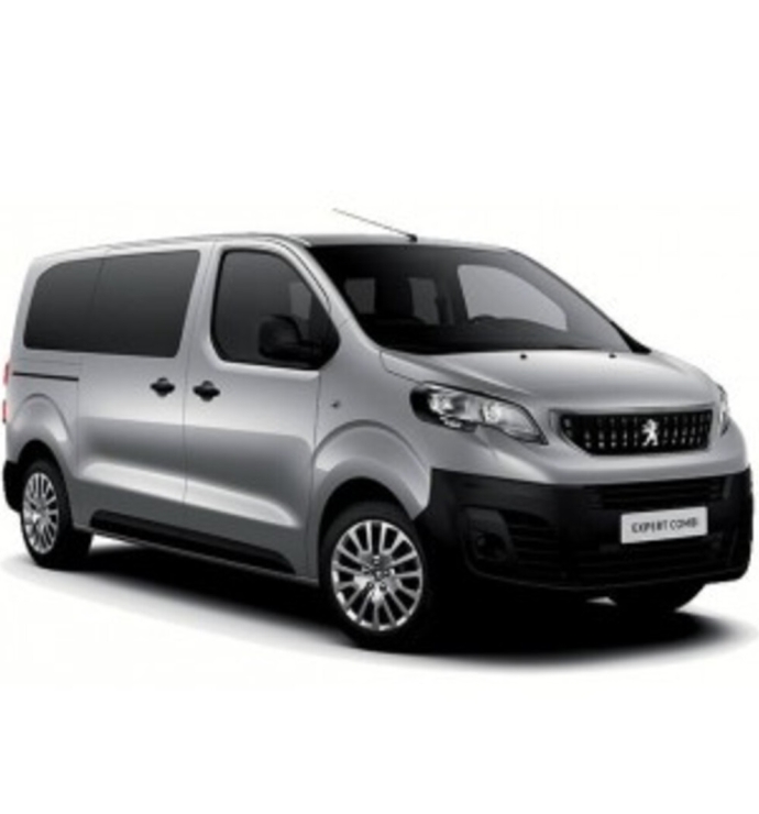 Start / Stop Disable | Peugeot Expert 2016+ CAN BUS