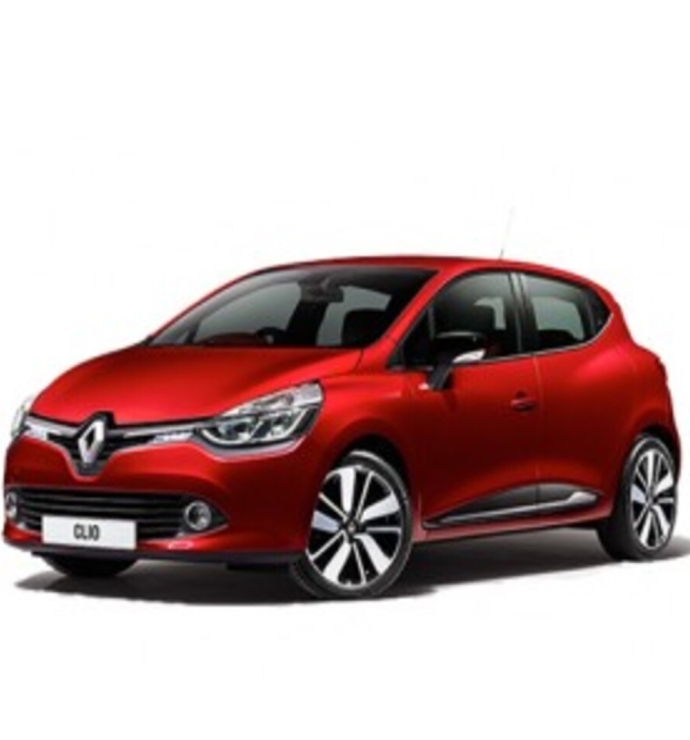  Precision Speed Limiter | Renault Clio