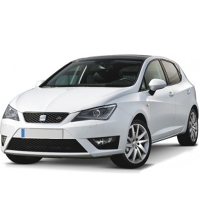 Precision Cruise Control | Seat Ibiza