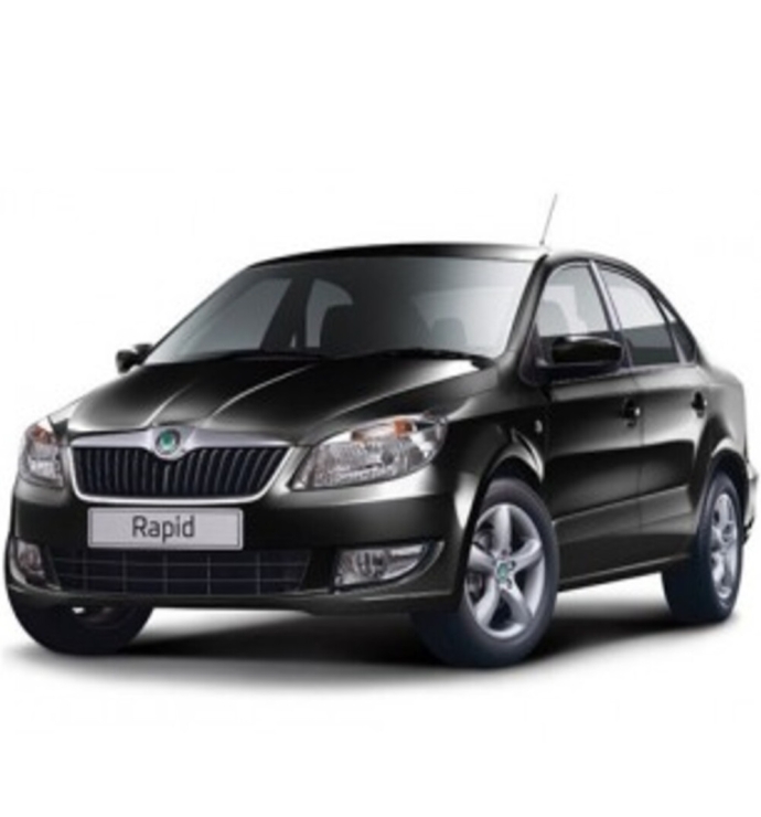  Precision Speed Limiter | Skoda Rapid